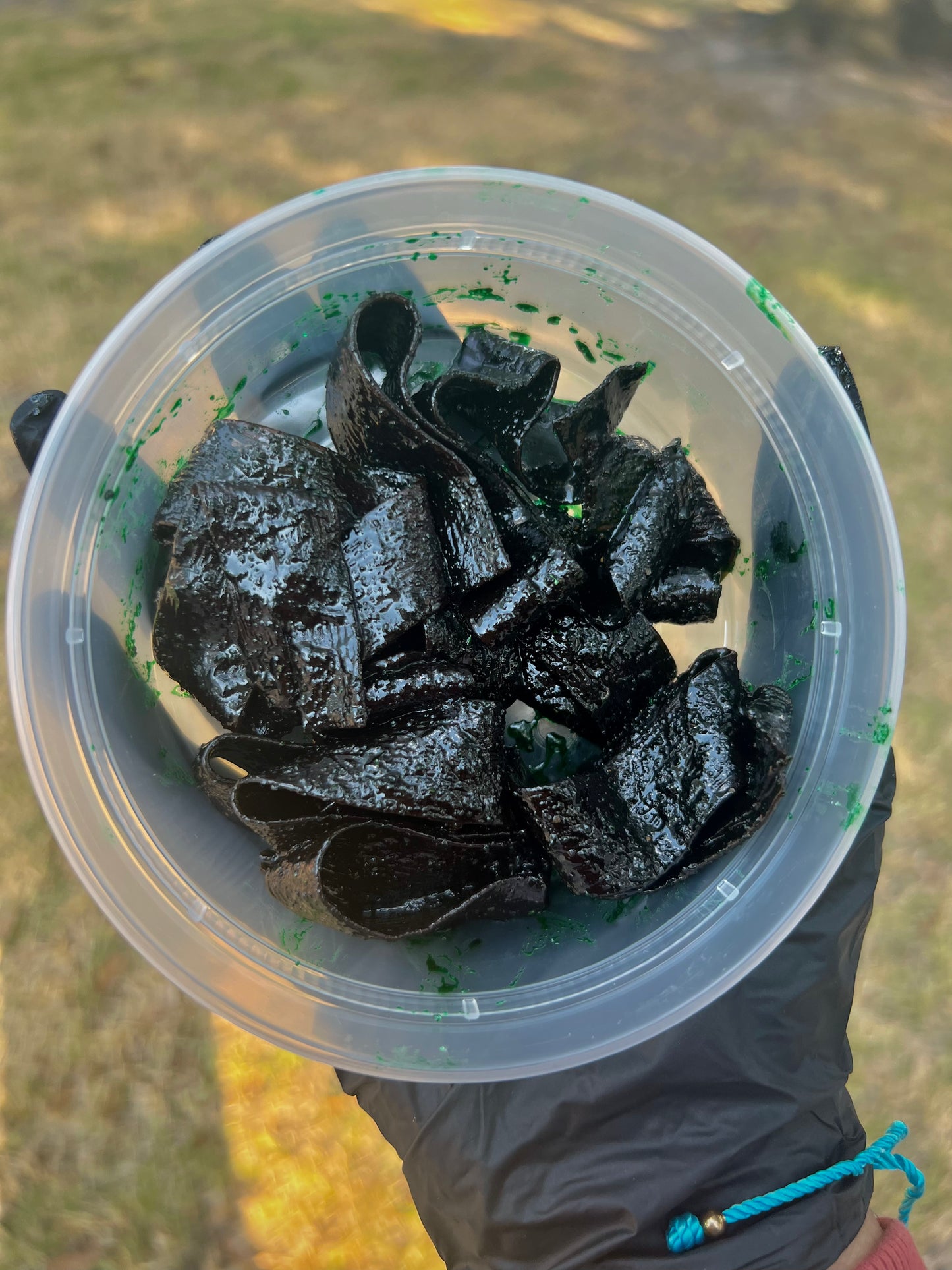 KRAZY PICKLED SOUR BELTS