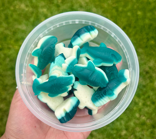 Gummy Blue Razz Sharks